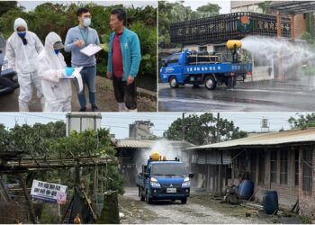 嚴防非洲豬瘟蔓延 宜縣啟動緊急應變 守護產業與食安