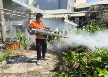 嘉義縣境外登革熱再增2例　旅遊返國若有症狀請儘速就醫