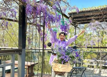 療癒女聲楊淨宇訪瑞里紫藤花季　推薦二日遊深入體驗