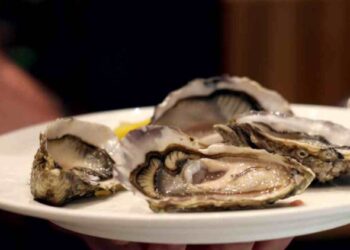 好隊友備孕吃什麼?8大營養補充助攻、男性備孕全攻略一次看!