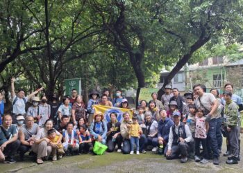 城市綠洲的甜蜜奇蹟：百棵50年黑葉荔枝不施農藥 北屯老樹公園香氣引爆食農教育