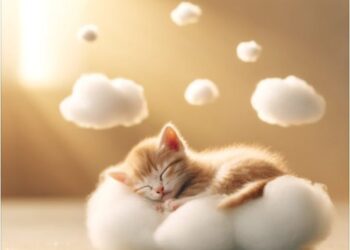 天然助眠劑：酸棗仁對抗失眠的秘密