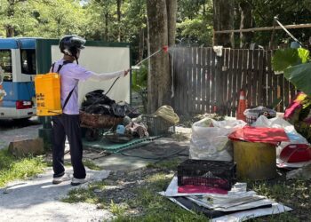 宜蘭縣出現今年首例本土登革熱 縣府啟動緊急防治措施