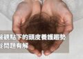 中醫觀點下的頭皮養護趨勢 落髮問題有解