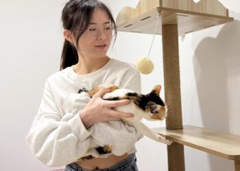 相偕治近視　護理師糾團找信賴眼科