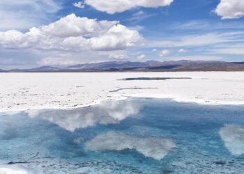 沙漠鹽與一般鹽的區別：健康和風味的雙重優勢