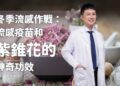 冬季感冒與流感預防大作戰:流感疫苗和紫錐花的神奇功效